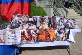Фестиваль «Животные не игрушки», Череповец, 30 августа 2026 года.