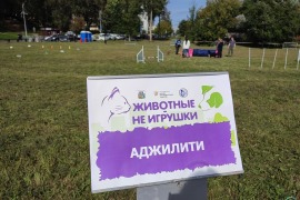 Фестиваль «Животные не игрушки», Череповец, 30 августа 2026 года.