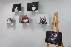 Фотовыставка «Особенный взгляд» (город Череповец,  Центральная городская библиотека им. В. В. Верещагина).