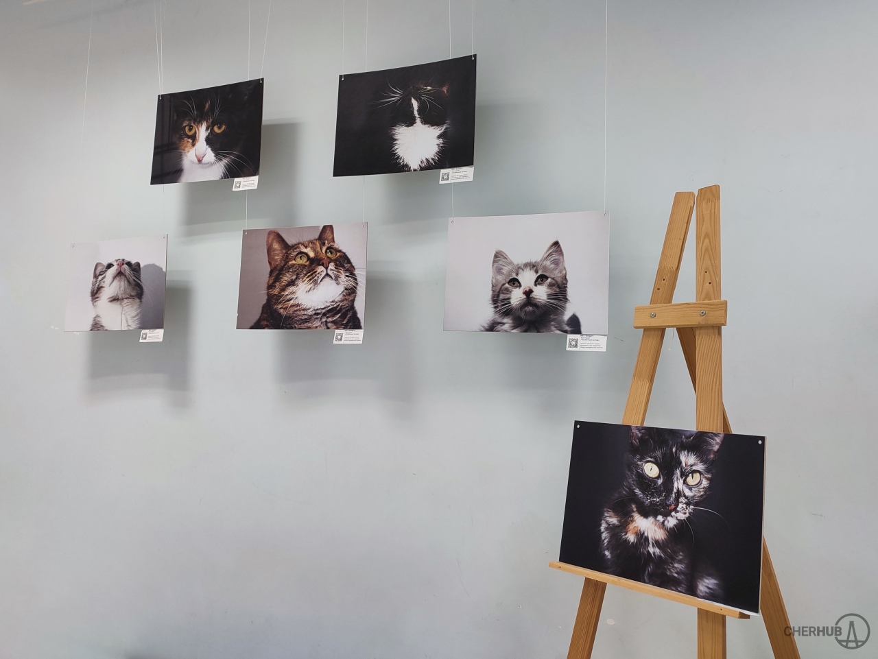 Фотовыставка «Особенный взгляд» (город Череповец,  Центральная городская библиотека им. В. В. Верещагина).