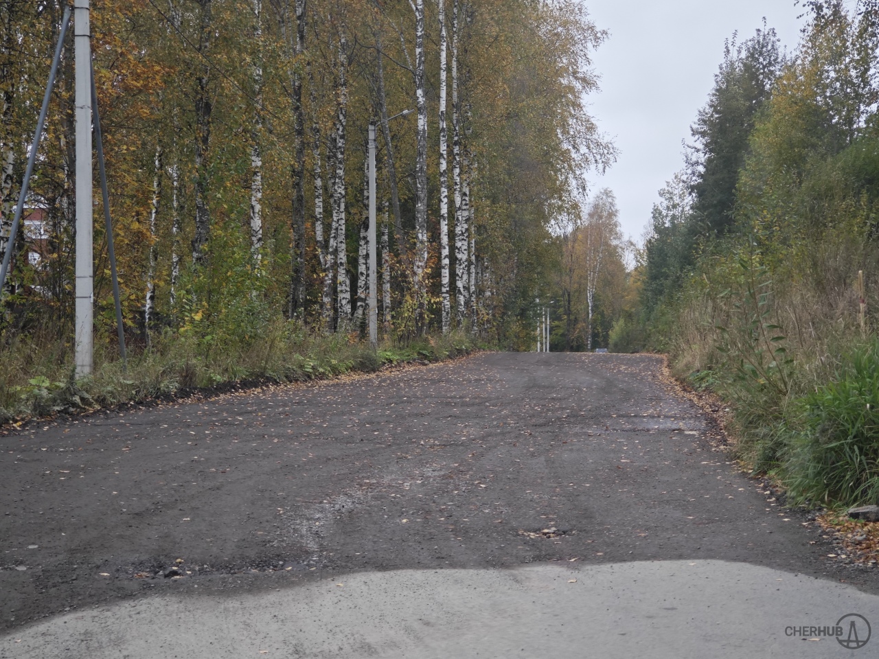 Участок улицы Белинского, Череповец.