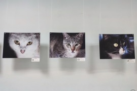 Фотовыставка «Особенный взгляд» (город Череповец,  Центральная городская библиотека им. В. В. Верещагина).