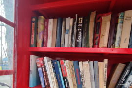 Культурный вечер в Череповце: кино и книги в Милютинском парке