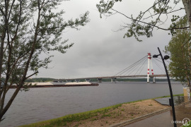 В Череповце появится «Семейная аллея»