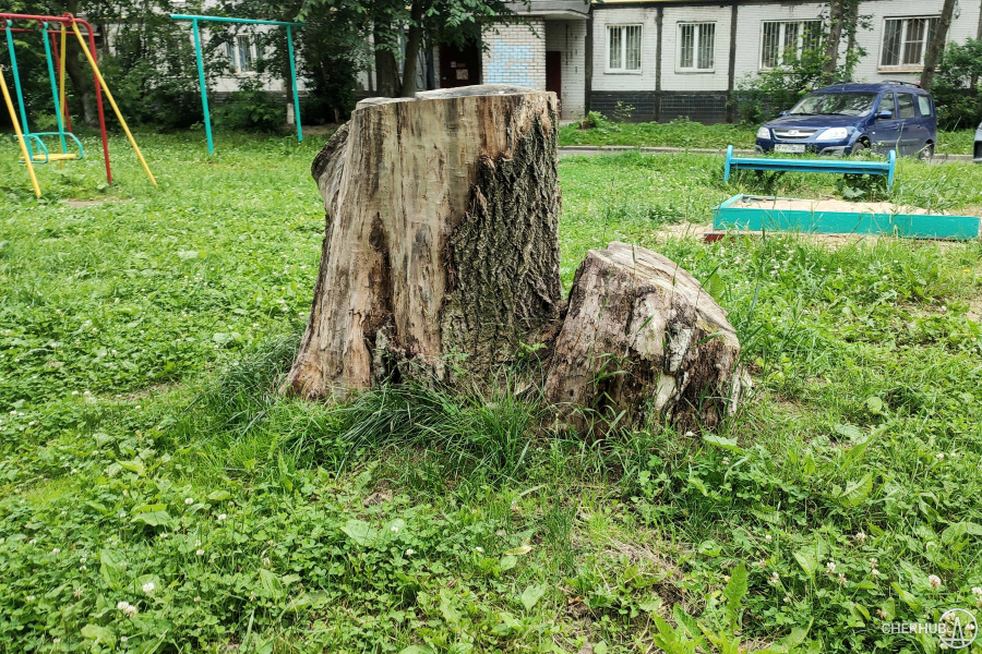 В Череповце активно убирают пни
