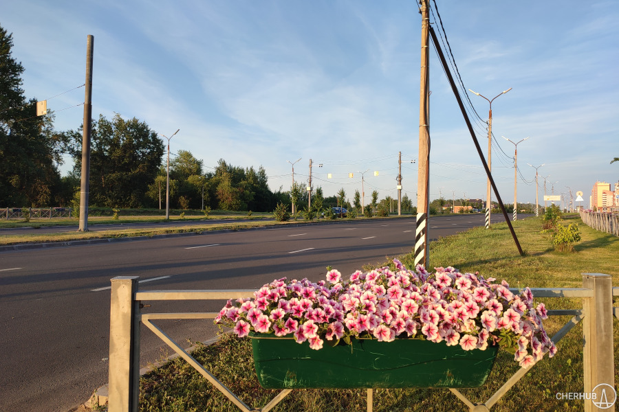 Череповец расцвёл: в городе завершили масштабное цветочное оформление